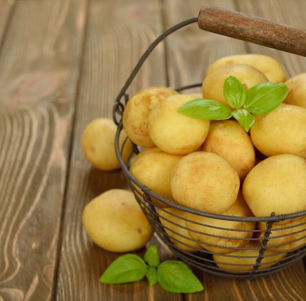 Sementes De Batata Inglesa - Vegetal Para Casa E Jardim